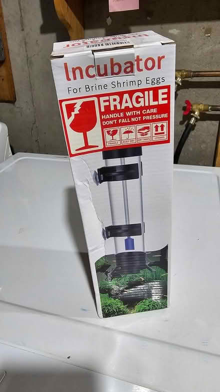 Photo of free Brine shrimp incubator and eggs (K2G 2Y9) #1