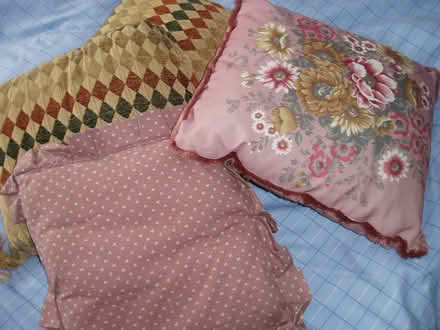 Photo of free Cushions. (Hailsham BN27) #1