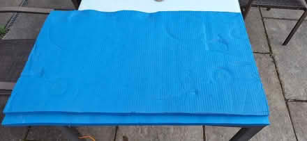 Photo of free Camping mats (Lower Sydenham) #1