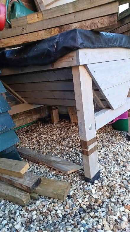 Photo of free Trug for growing veggies in (Theale RG7) #4