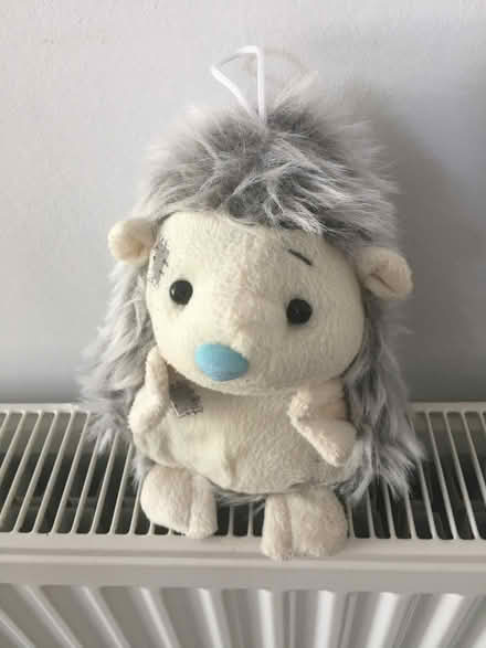 Photo of free Cuddly toys (Chelmsford CM1) #3
