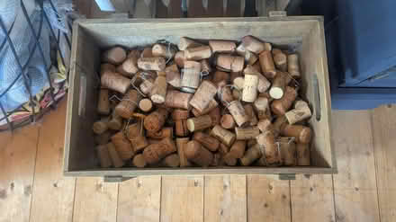 Photo of free Box of corks (RG24 Old Basing) #1