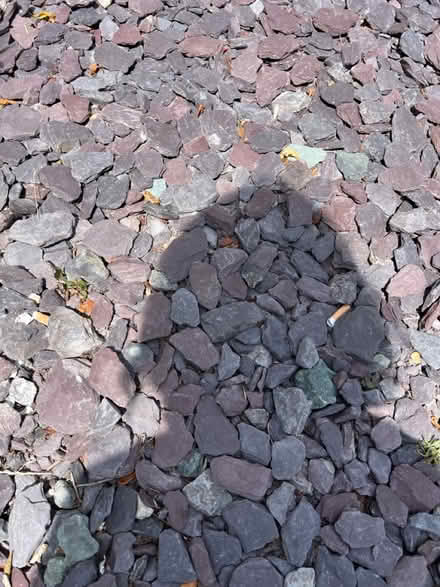 Photo of free 3 tons of purple slate (Patcham Brighton) #2