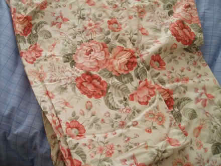 Photo of free Curtains. (Hailsham BN27) #1