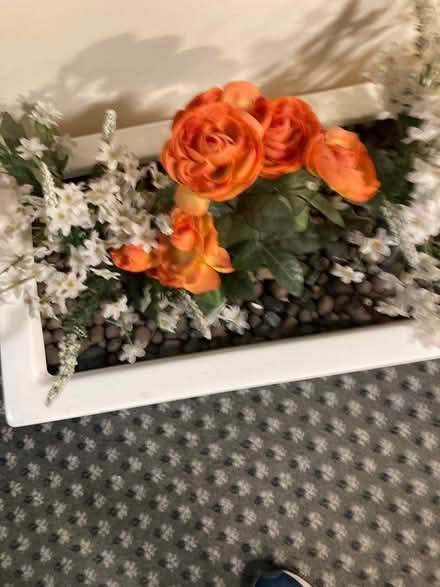 Photo of free Fake plant box (West Ealing) #4