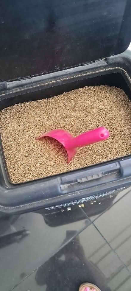 Photo of free Quail food (Burnham SL1) #2