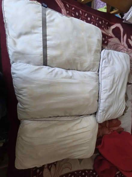 Photo of free 6 pillows (Broxtowe NG8) #1