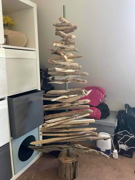 Photo of free Driftwood Christmas Tree (Dorchester DT1) #1