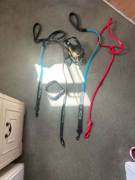 Photo of free Dog leads and harness and colour (St Giles HP8) #1