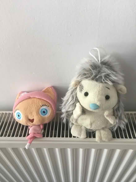 Photo of free Cuddly toys (Chelmsford CM1) #1