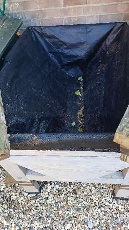 Photo of free Trug for growing veggies in (Theale RG7) #3
