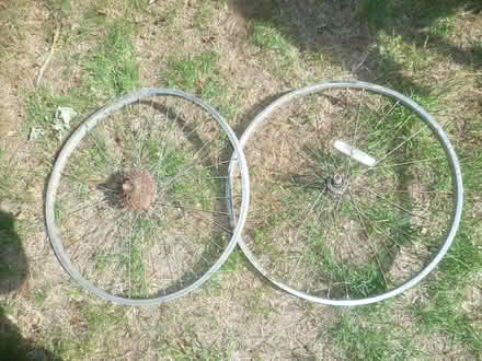 Photo of free bike wheels 22 inches (Runcton PO20) #1