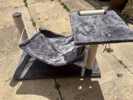 Photo of free Cat scratching post hammock (PR5 Bamber bridge) #1