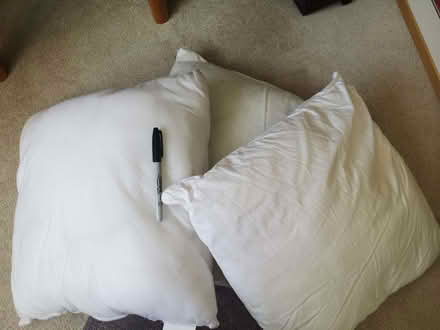 Photo of free 3 small square cushion inserts (Brincliffe Edge S7) #1