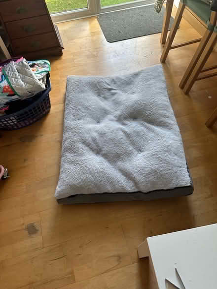 Photo of free Grey large dog bed (Crown Wood RG12) #1