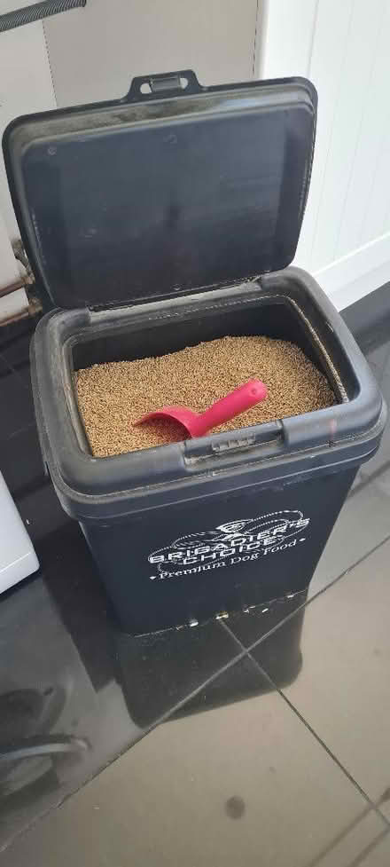 Photo of free Quail food (Burnham SL1) #1