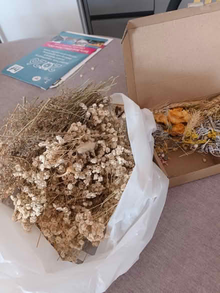 Photo of free Dried flowers (Stotfold) #1
