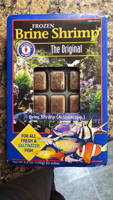 Photo of free Brine shrimp incubator and eggs (K2G 2Y9) #3