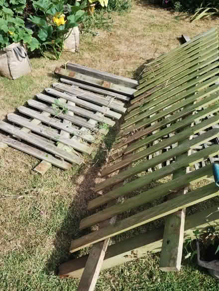 Photo of free Trellis and fence (Much Cowarne HR7) #1