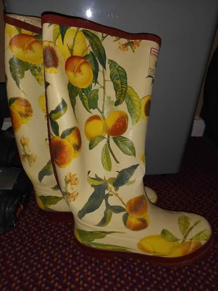 Photo of free Hunter Women's Wellies size 37 (Collyhurst M40) #1