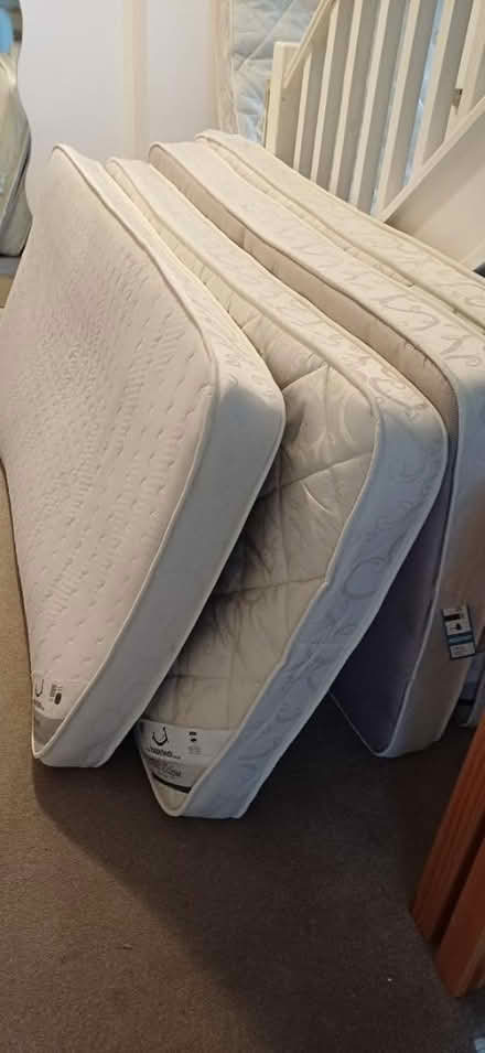 Photo of free 4 single mattresses (Cutteslowe, OX2) #1