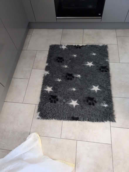 Photo of free Large dog bed (St Ann's NG3) #1