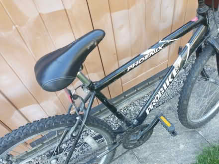 Photo of free Adult bike (Presteigne LD8) #3
