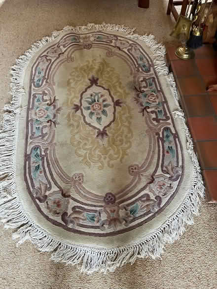 Photo of free Oval rug (Stretton on Dunsmore CV23) #2