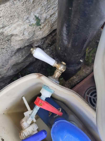 Photo of free Loo and sink - good condition (Kendal LA9) #3