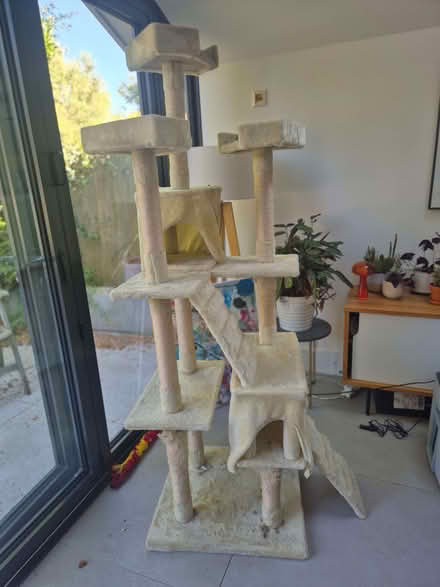 Photo of free Cat tree (Hollingbury BN1) #1