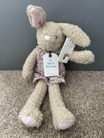 Photo of free Next baby gift rabbit (Cathcart G44) #1