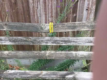 Photo of free Wooden pergola with seating (CT2) #4