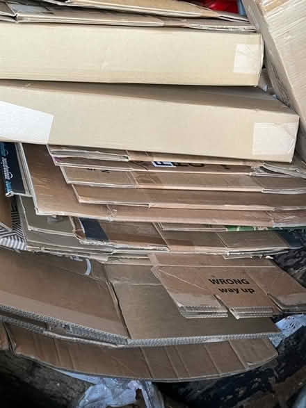 Photo of free Moving boxes & supplies (Eastbourne BN21 1UJ) #1