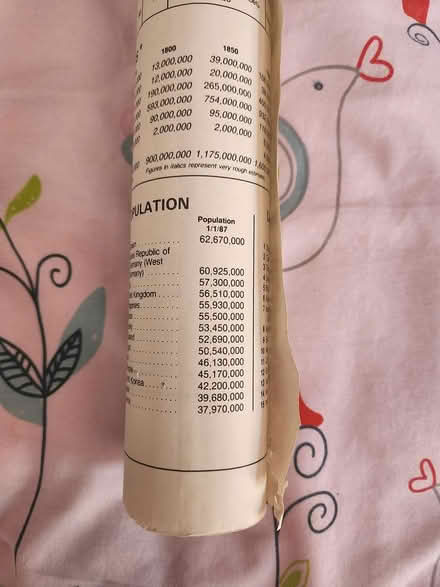 Photo of free Vintage World Wall Map (Southwest Cupertino) #1