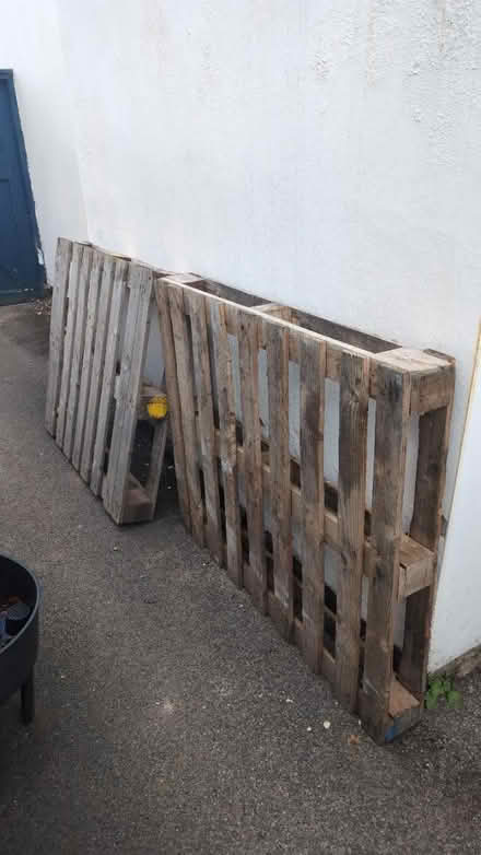 Photo of free Two pallets (Sandal, WF2) #1