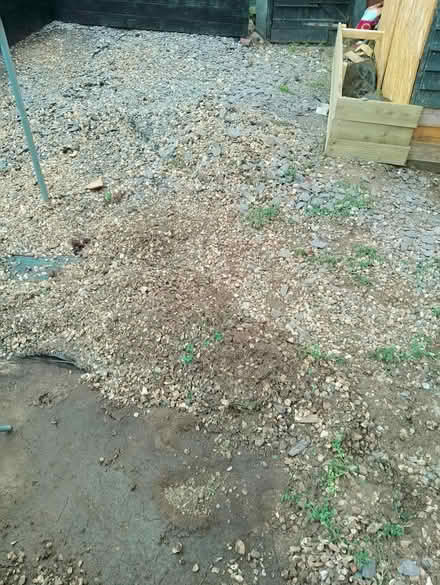 Photo of free Shingle (HP2 heme Hempstead) #2