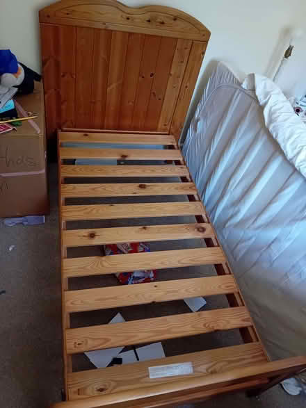 Photo of free Cot Bed (PL9) #1