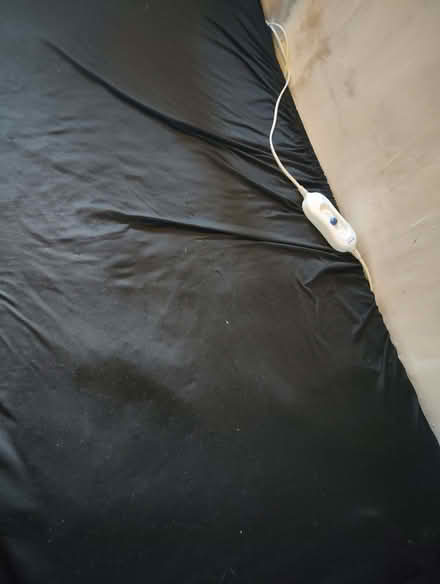 Photo of free Small mattress and electric blanket used for pet (Lings) #1