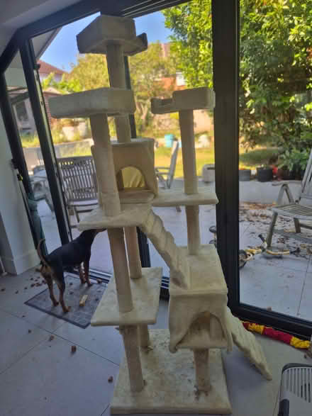 Photo of free Cat tree (Hollingbury BN1) #2