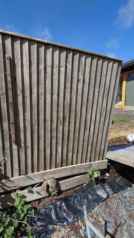 Photo of free Fence Panels (Patcham BN1) #3