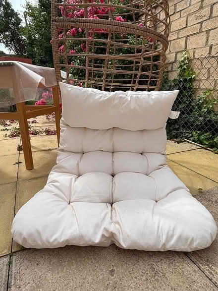 Photo of free cushion (OX3 0RY) #1