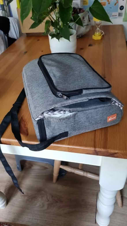 Photo of free Travel booster chair (East Grinstead (RH19)) #2