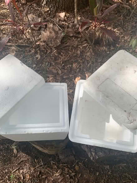 Photo of free Styrofoam containers & forms (Mims, Florida) #1
