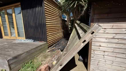 Photo of free Fence Panels (Patcham BN1) #4