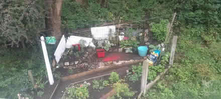 Photo of Japanese garden (Whitefield M45) #1