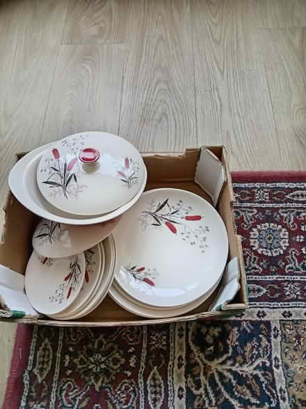 Photo of free Vintage Dinnerware (Dore S17) #2