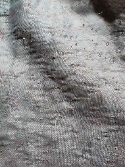 Photo of free Fat Boy bean bag (Rothbury NE65) #3