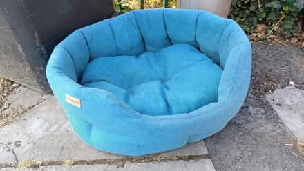 Photo of free Washable dog bed (Shirley CR0) #1