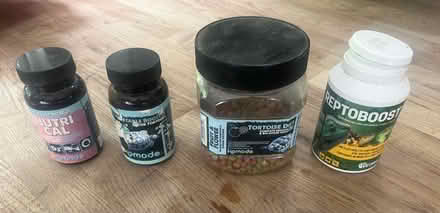 Photo of free Tortoise Food and Supplements (Sevenoaks TN13) #1