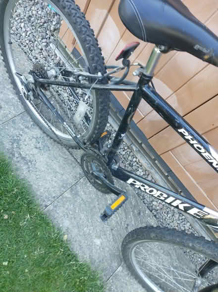 Photo of free Adult bike (Presteigne LD8) #4